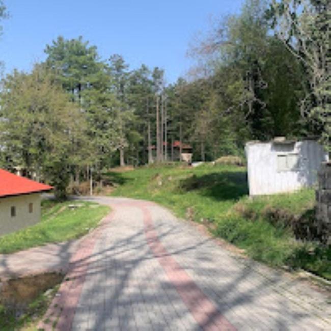 Chinar Family Resort Bhurban Eksteriør bilde